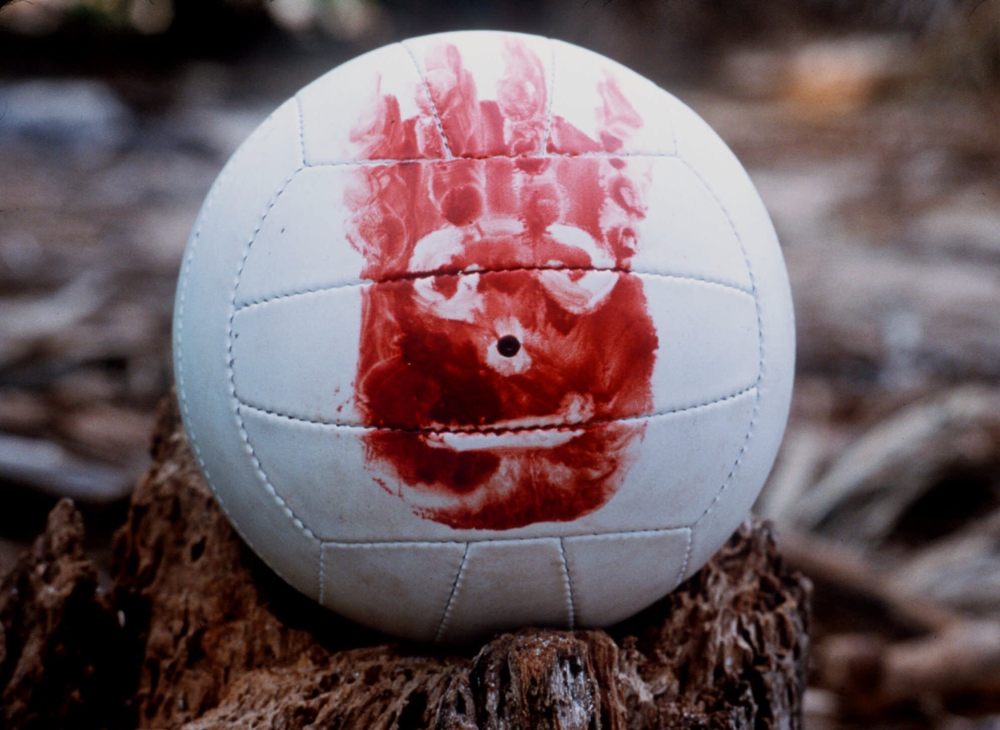Wilson, Cast Away