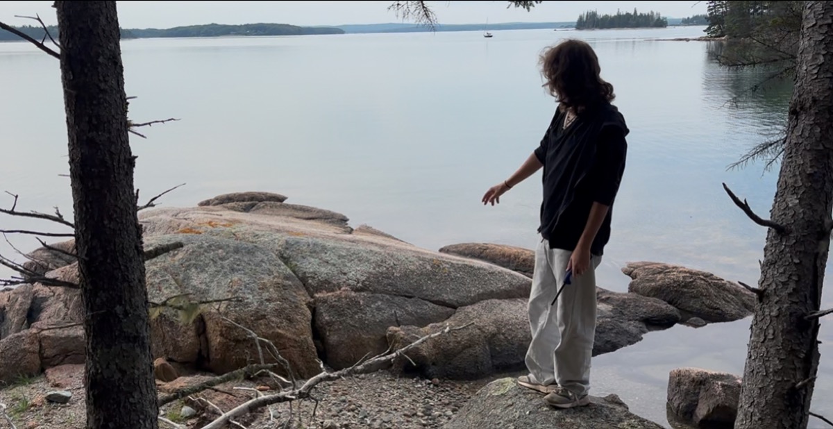 Figure at the shoreline